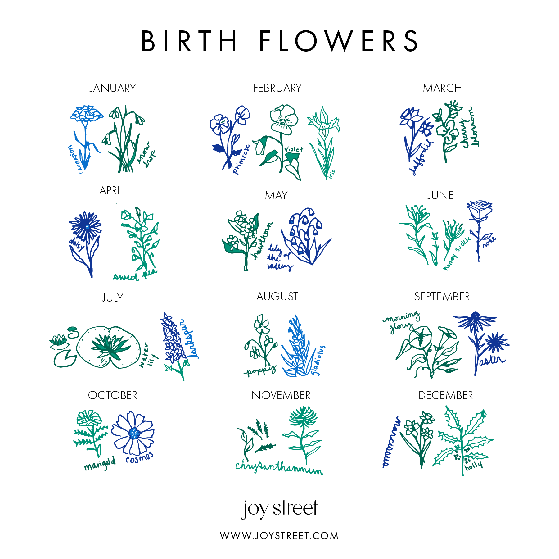 Birth Flowers Zip Baby Onesie