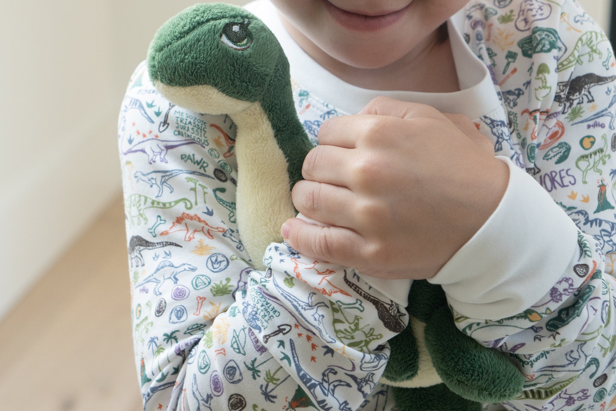 Joy Street Dinosaur Kids Two Piece Pajamas