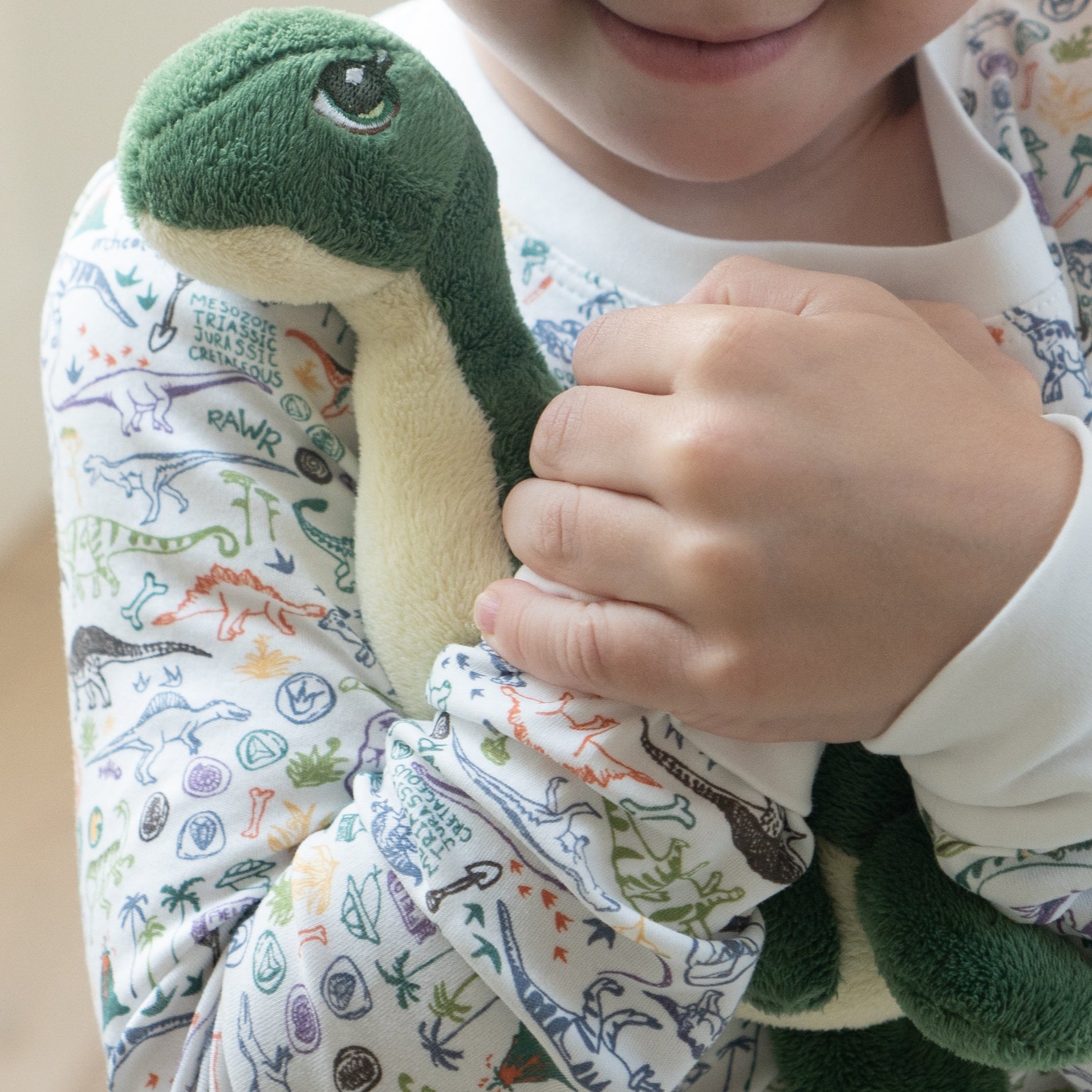 Joy Street Kids Dinosaur Pajamas