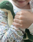 Joy Street Dinosaur Pajamas