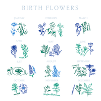 Birth Flowers Baby Blanket