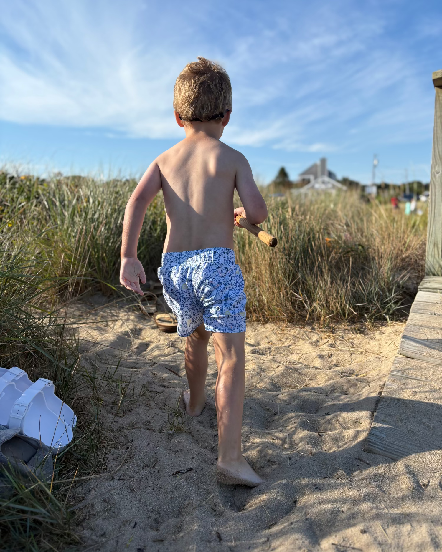 JoyStreetoysterswimtrunk