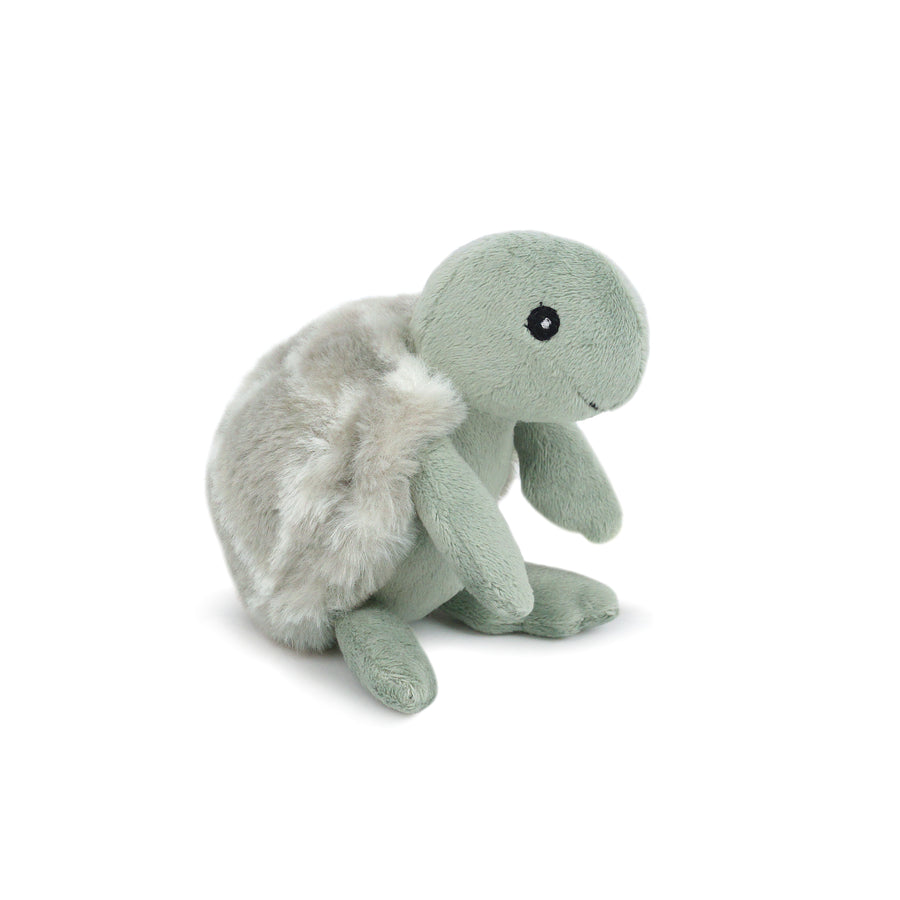 Taylor Turtle Rattle