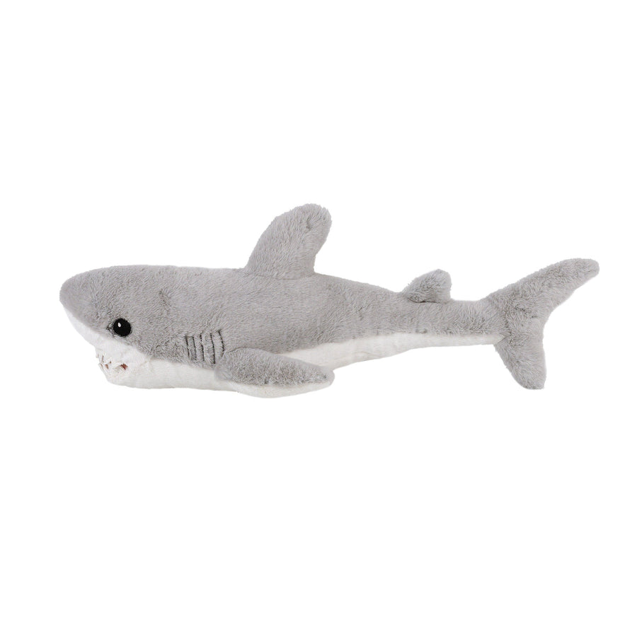 Mon Ami Claude Shark