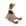 River Mallard Duck