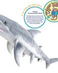 Sammy The Shark