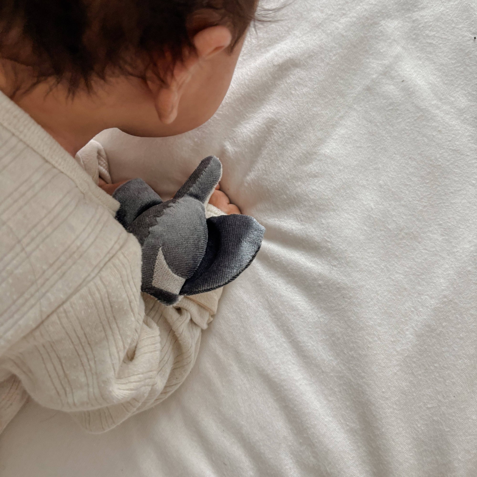 Whale Babu Rattle Set