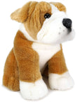 Egan the English Bulldog