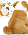 Egan the English Bulldog