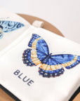 COLORS OF BUTTERFLIES