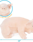 Perla The Pig