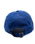 Flag Patch Baseball hat: Denim / Toddler (1Y-4Y)