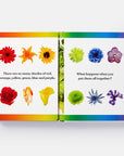 Rainbows in Bloom: Discovering Colors with Flowers