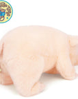 Perla The Pig