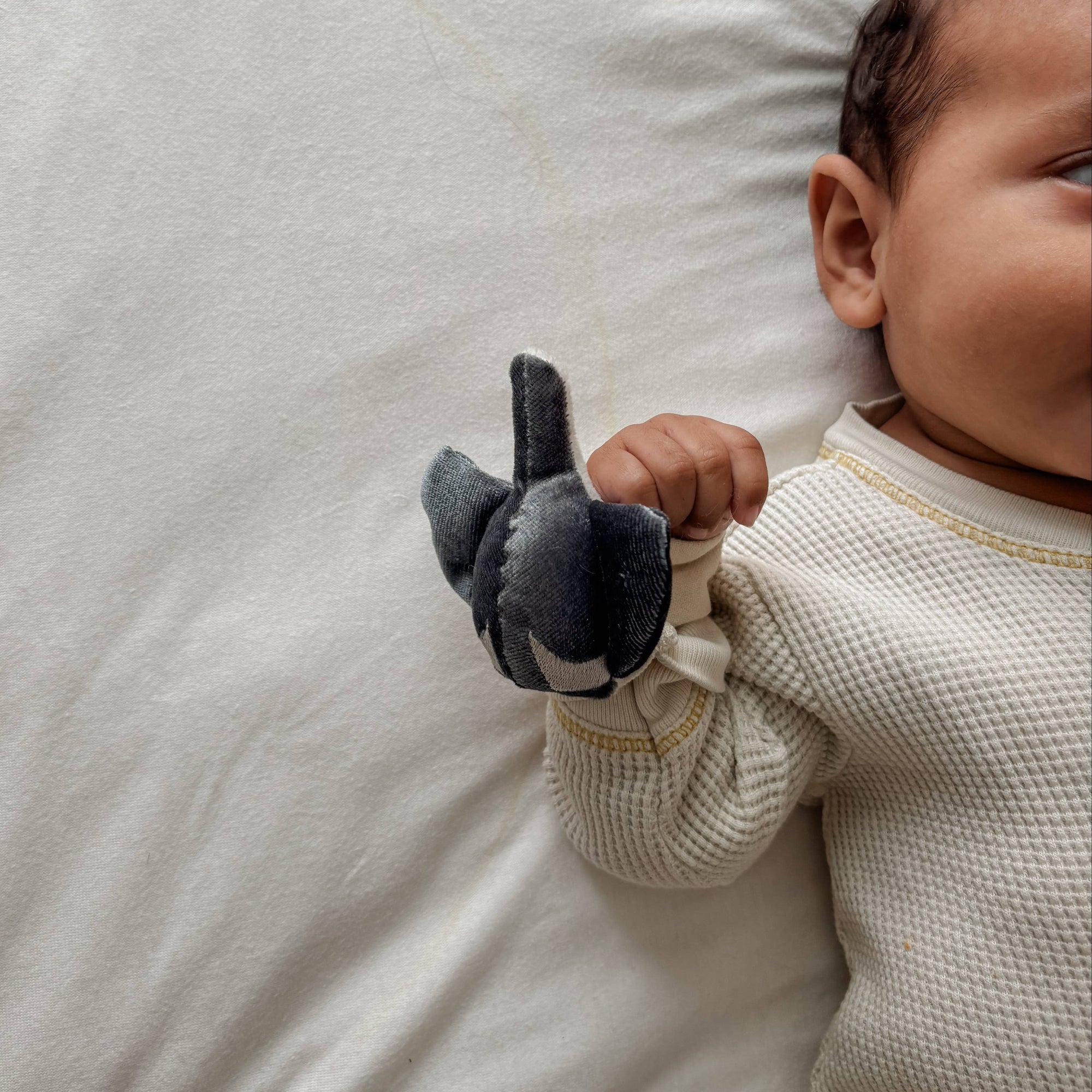 Whale Babu Rattle Set