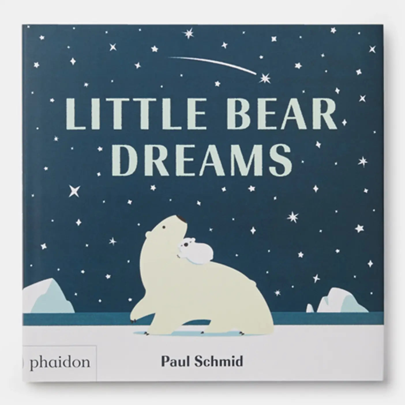 Little Bear Dreams