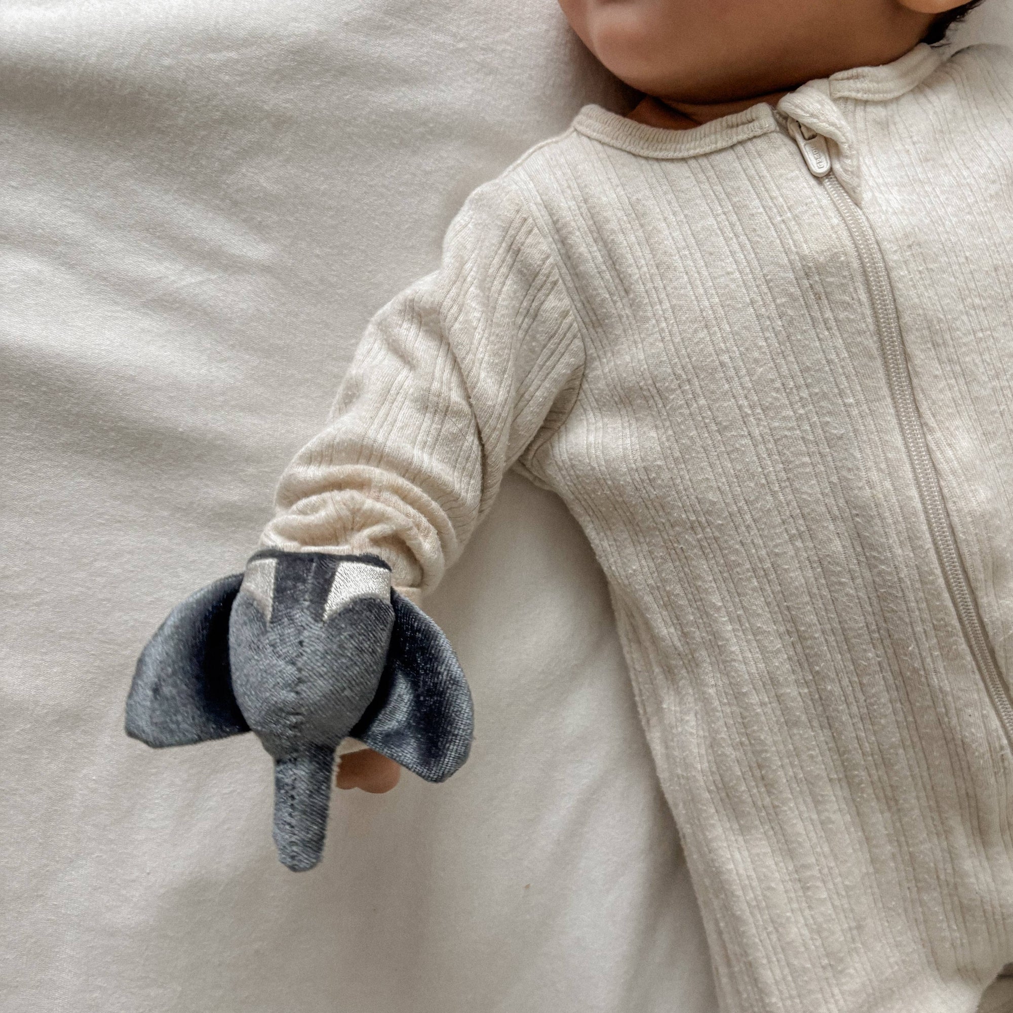 Whale Babu Rattle Set