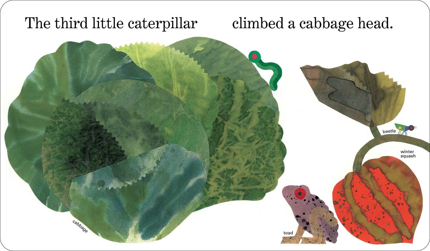 Ten Little Caterpillars by Bill Martin Jr.: Board Books; 40 pages / English