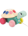 Zigolos Pull-Along Turtle