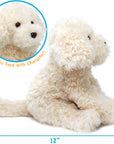 Luka The Labradoodle