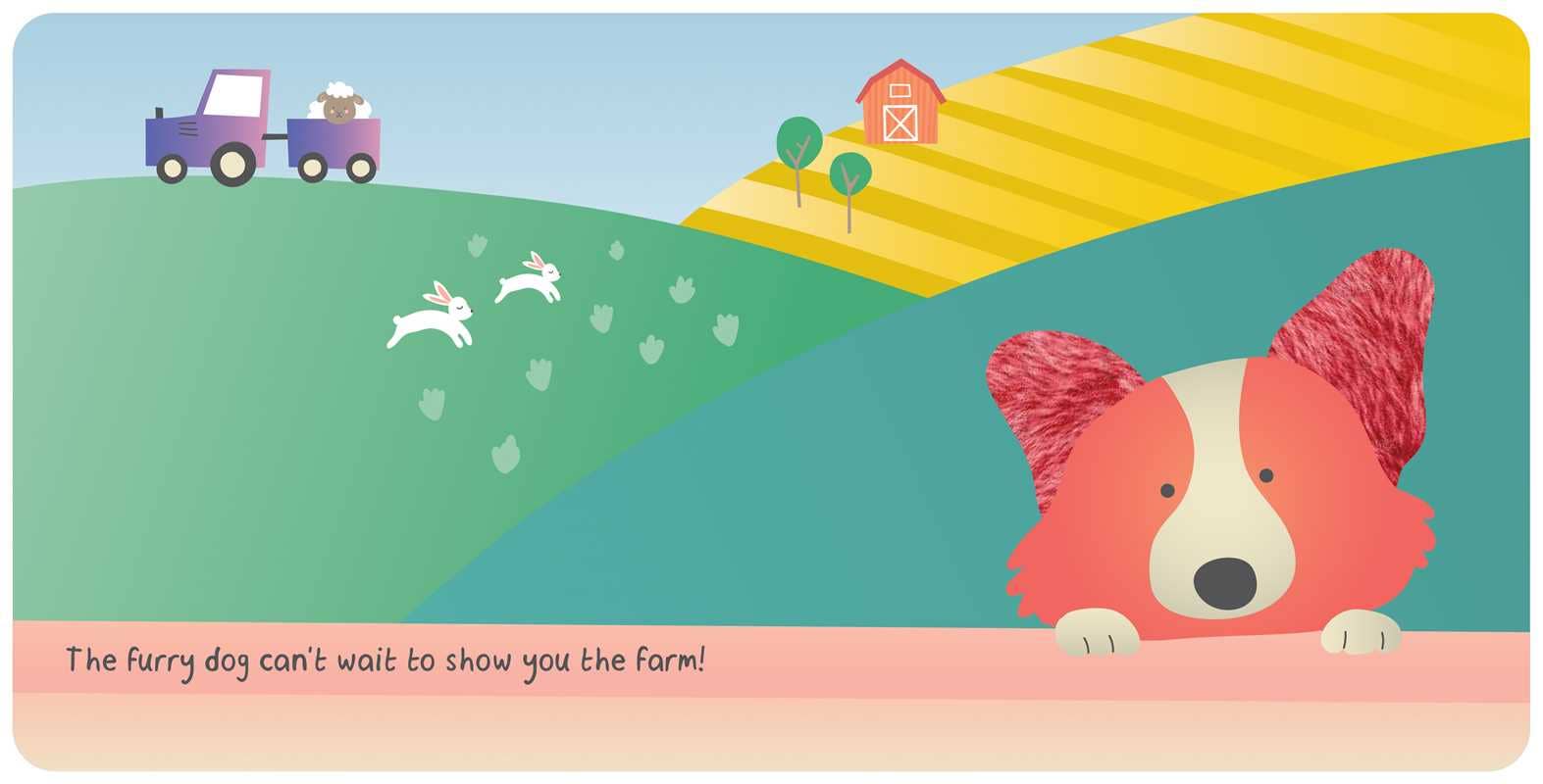 Farm Animals: My First Touch &amp; Feel Book by: Board Books; 8 pages / English