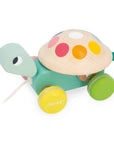 Zigolos Pull-Along Turtle