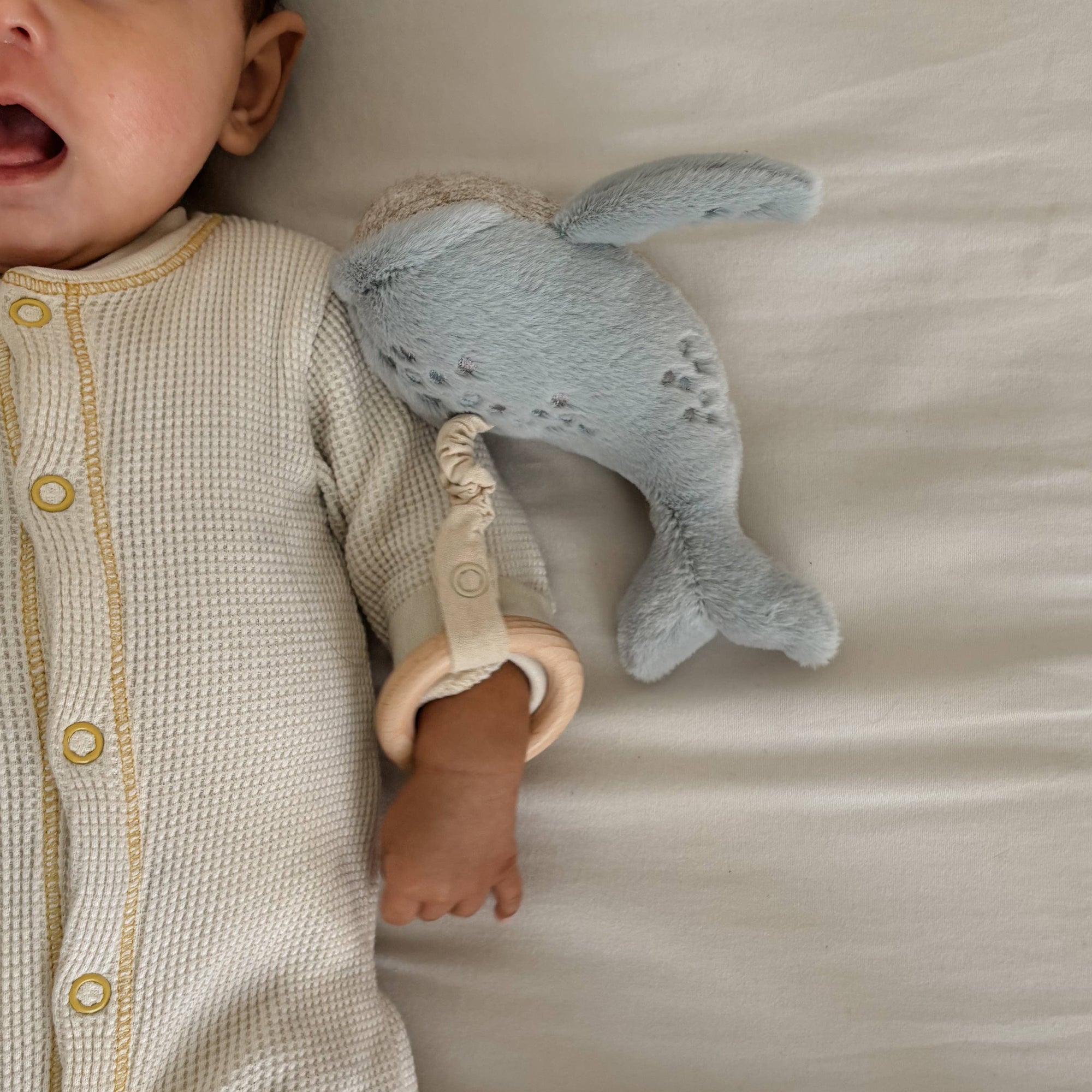 Whale Babu Rattle Set