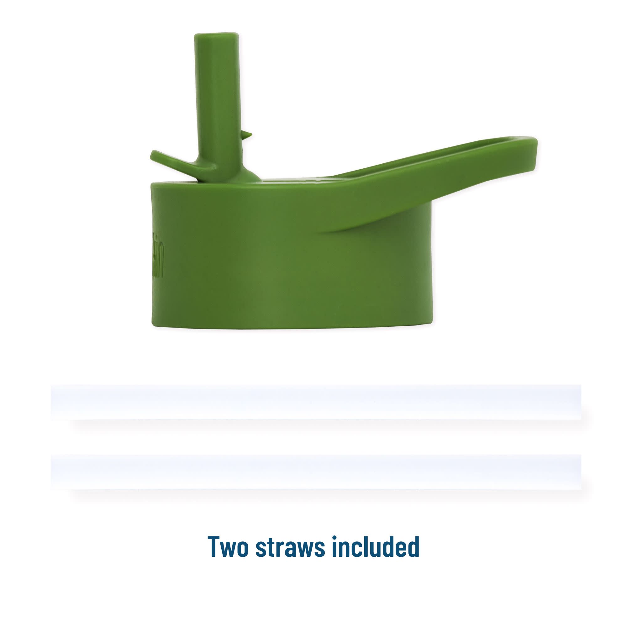 Dinomite Dinosaurs 14 oz Steel Bottle