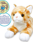 Tamarr the Orange Tabby Cat
