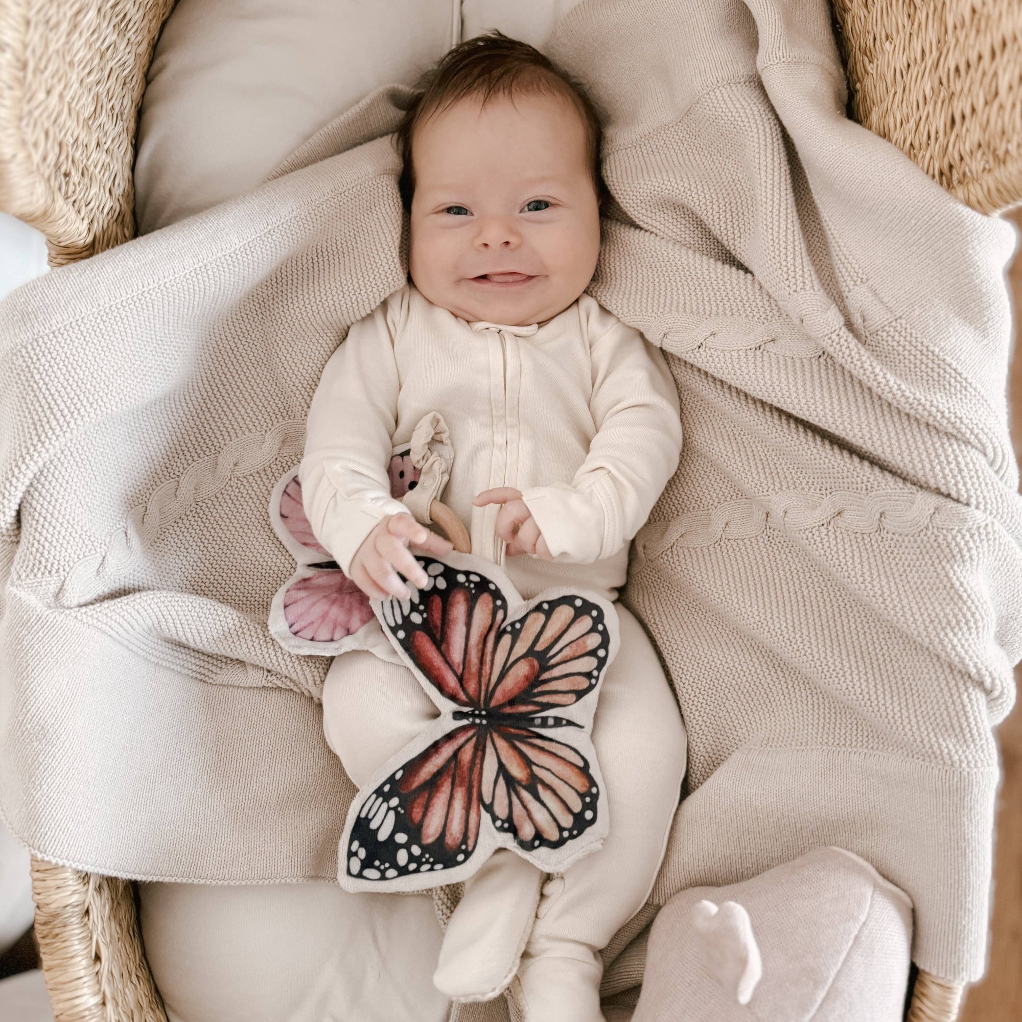 Butterflies Baby Toy