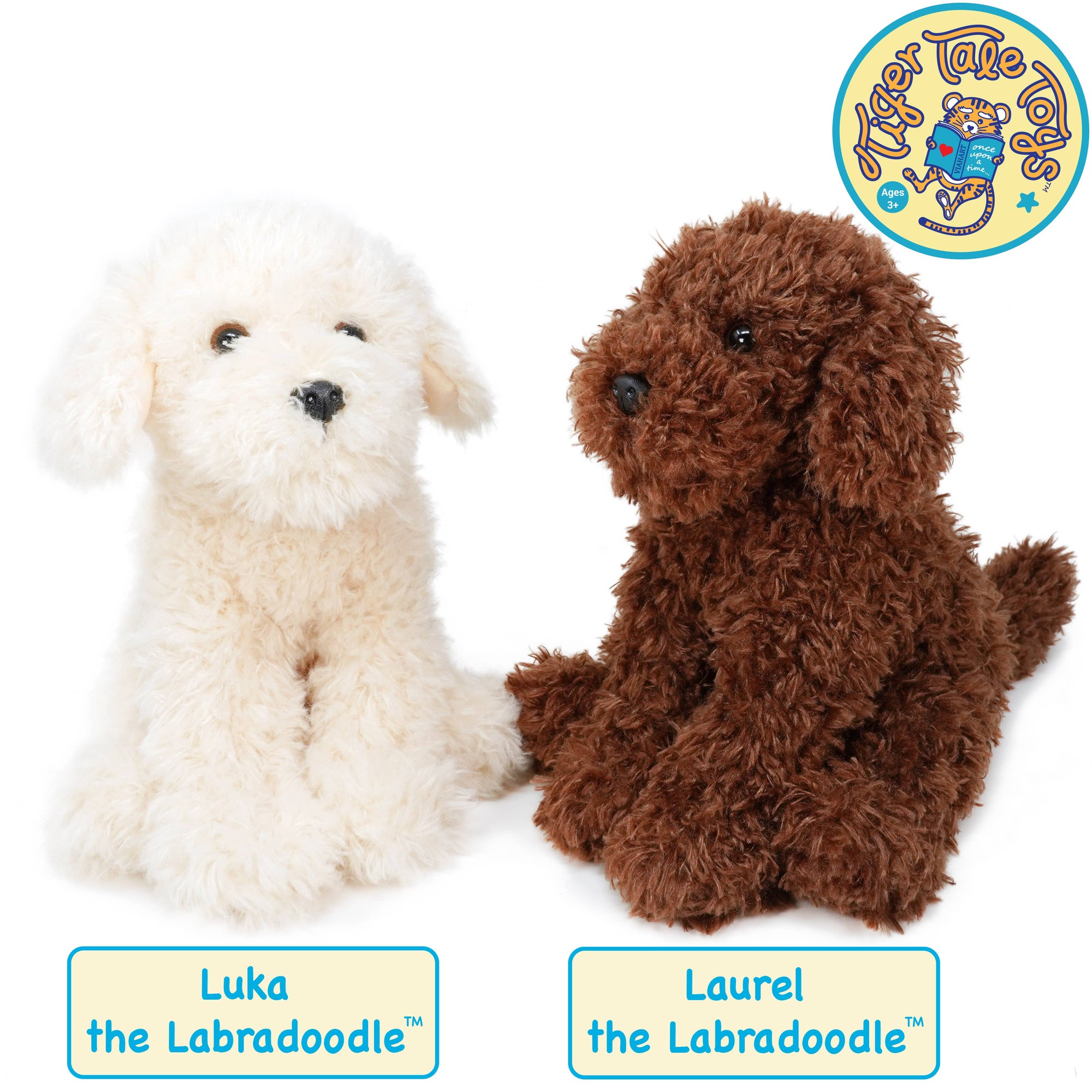 Laurel The Labradoodle