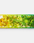 Rainbows in Bloom: Discovering Colors with Flowers
