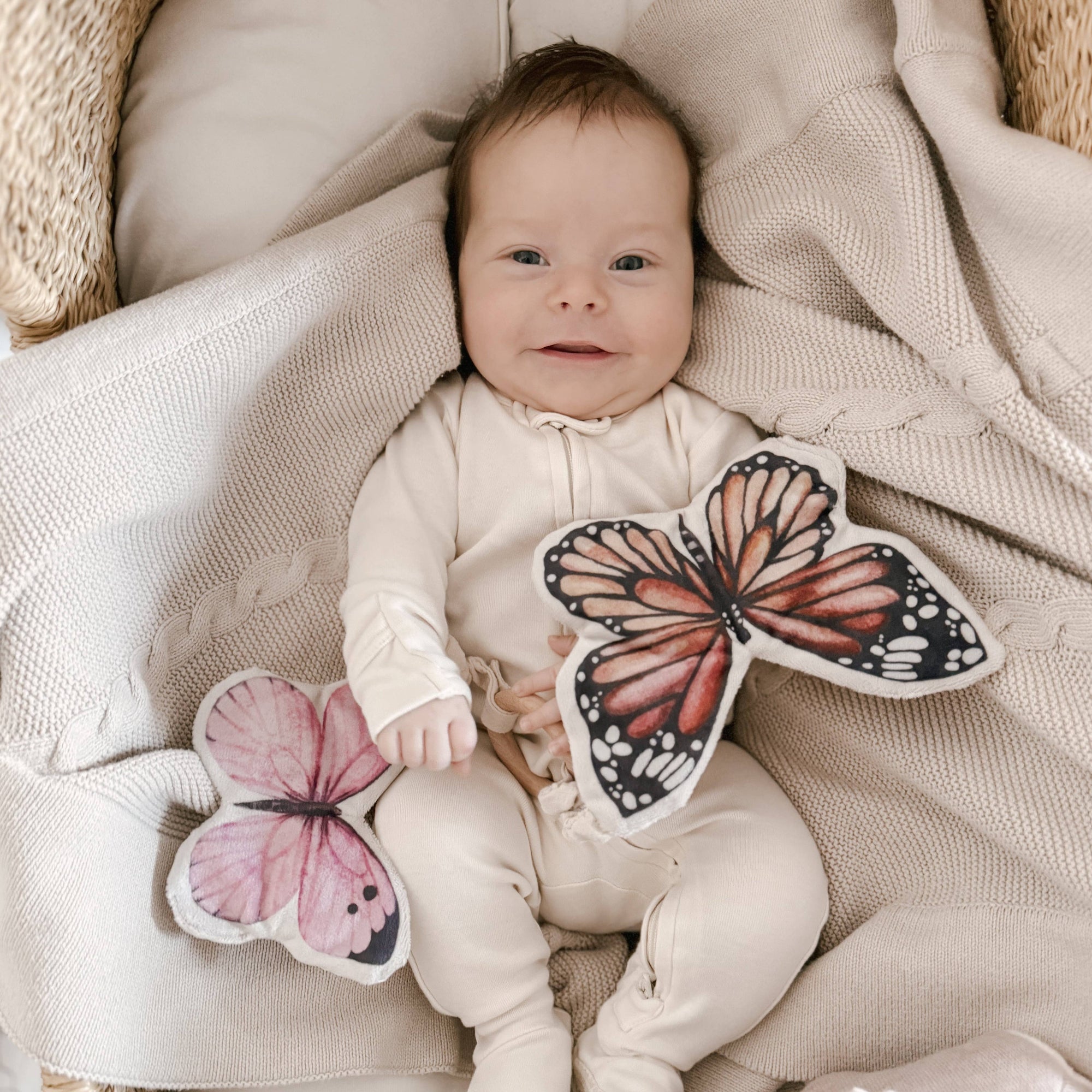 Butterflies Baby Toy
