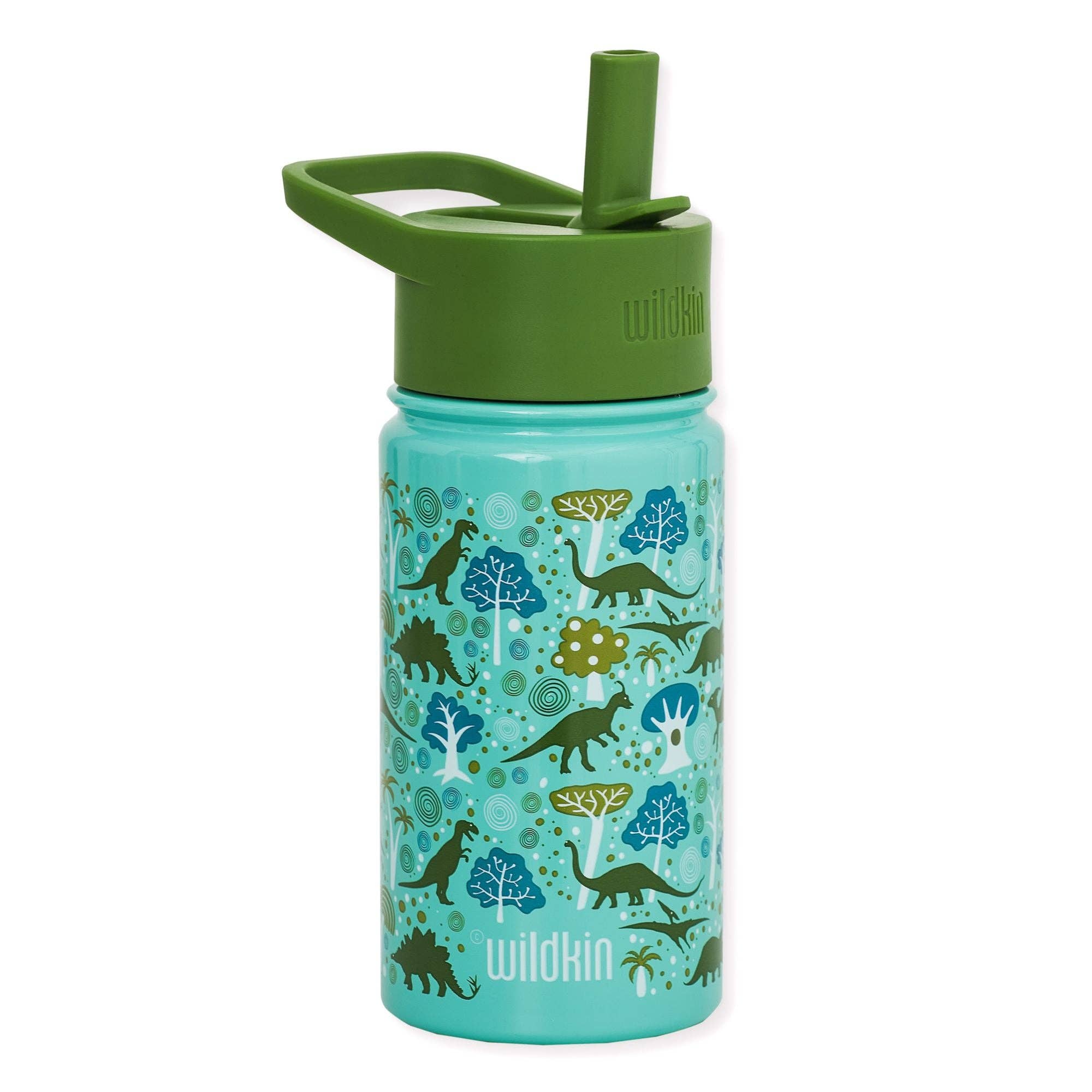 Dinomite Dinosaurs 14 oz Steel Bottle