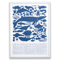 Print - Blue Sea Animals Of The Pacific Northwest Poster