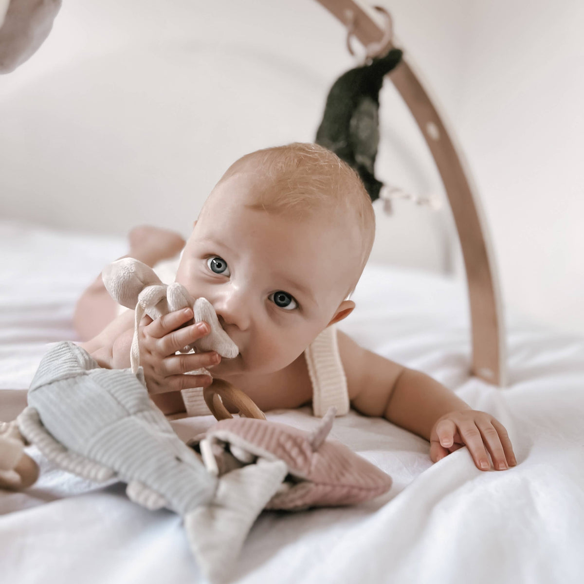 Baby Rattle Fish Fish Handheld Baby Rattle – Joy Street