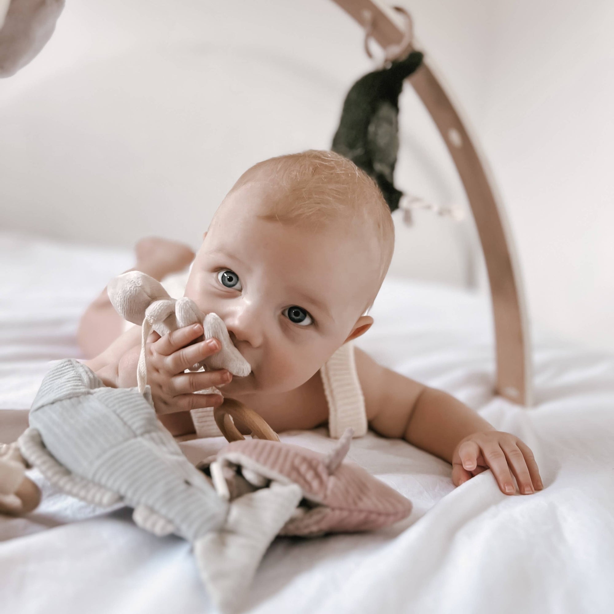 Fish Handheld Baby Rattle