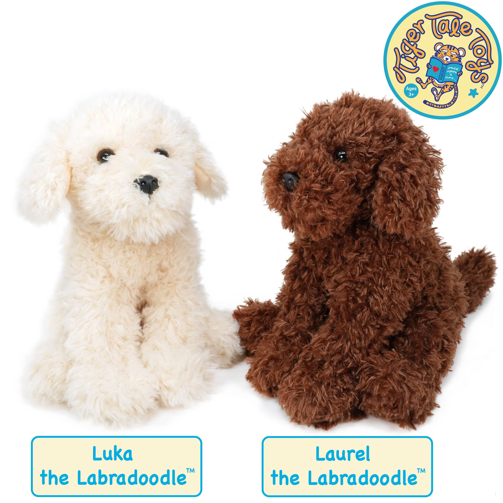Luka The Labradoodle