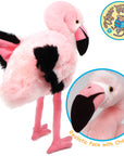 Fay The Flamingo