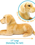 Mason The Labrador