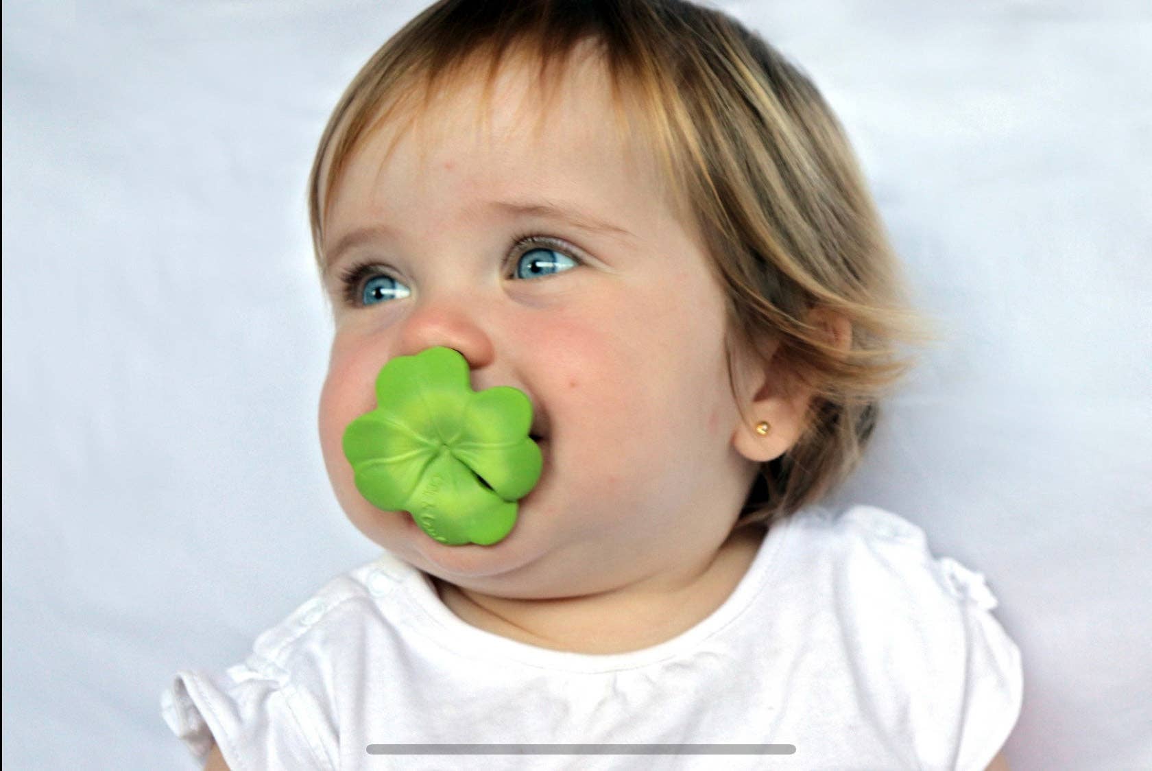 Eli the Clover