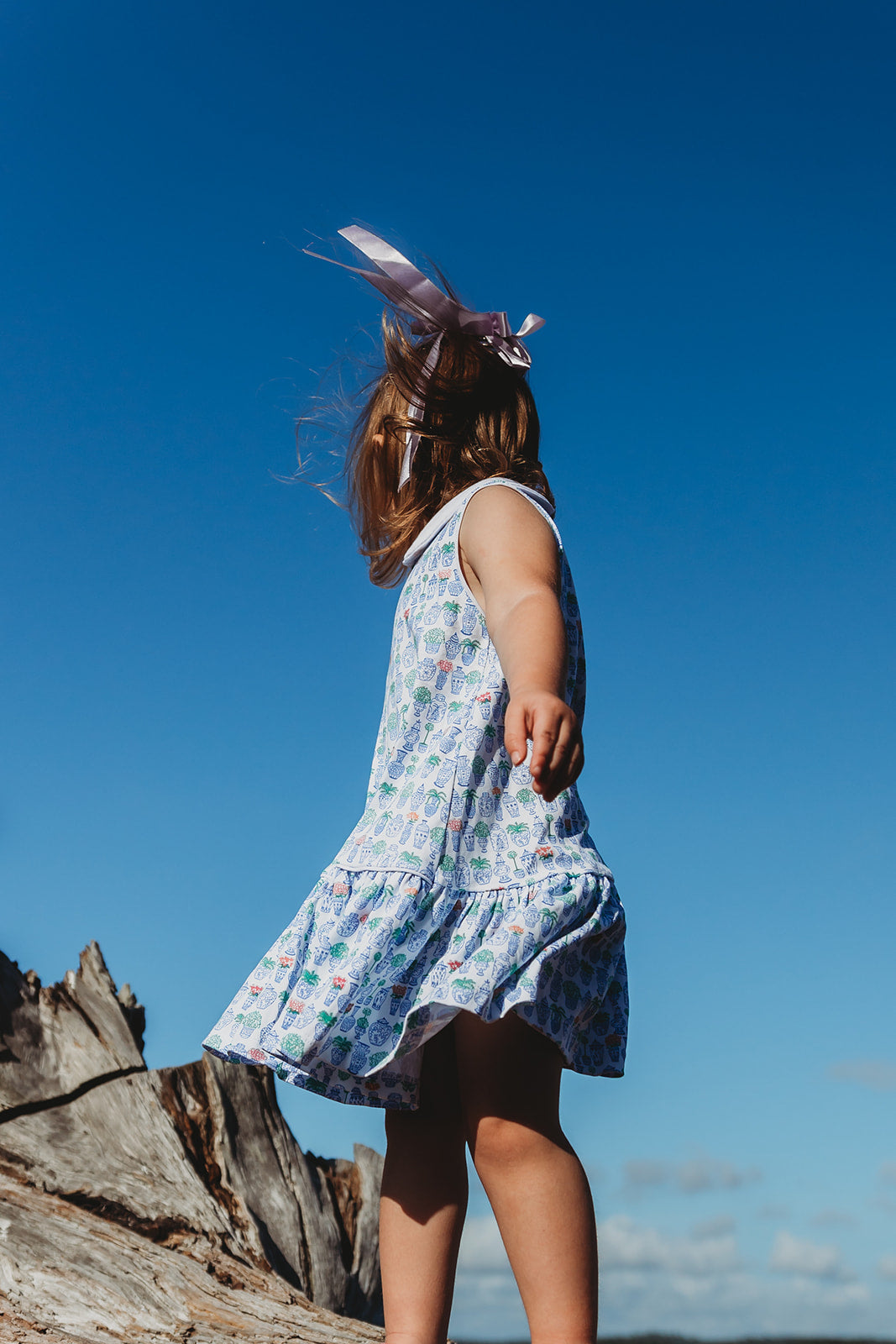 Ginger Jars Peter Pan Collar Dress