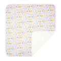 Charleston Baby Blanket